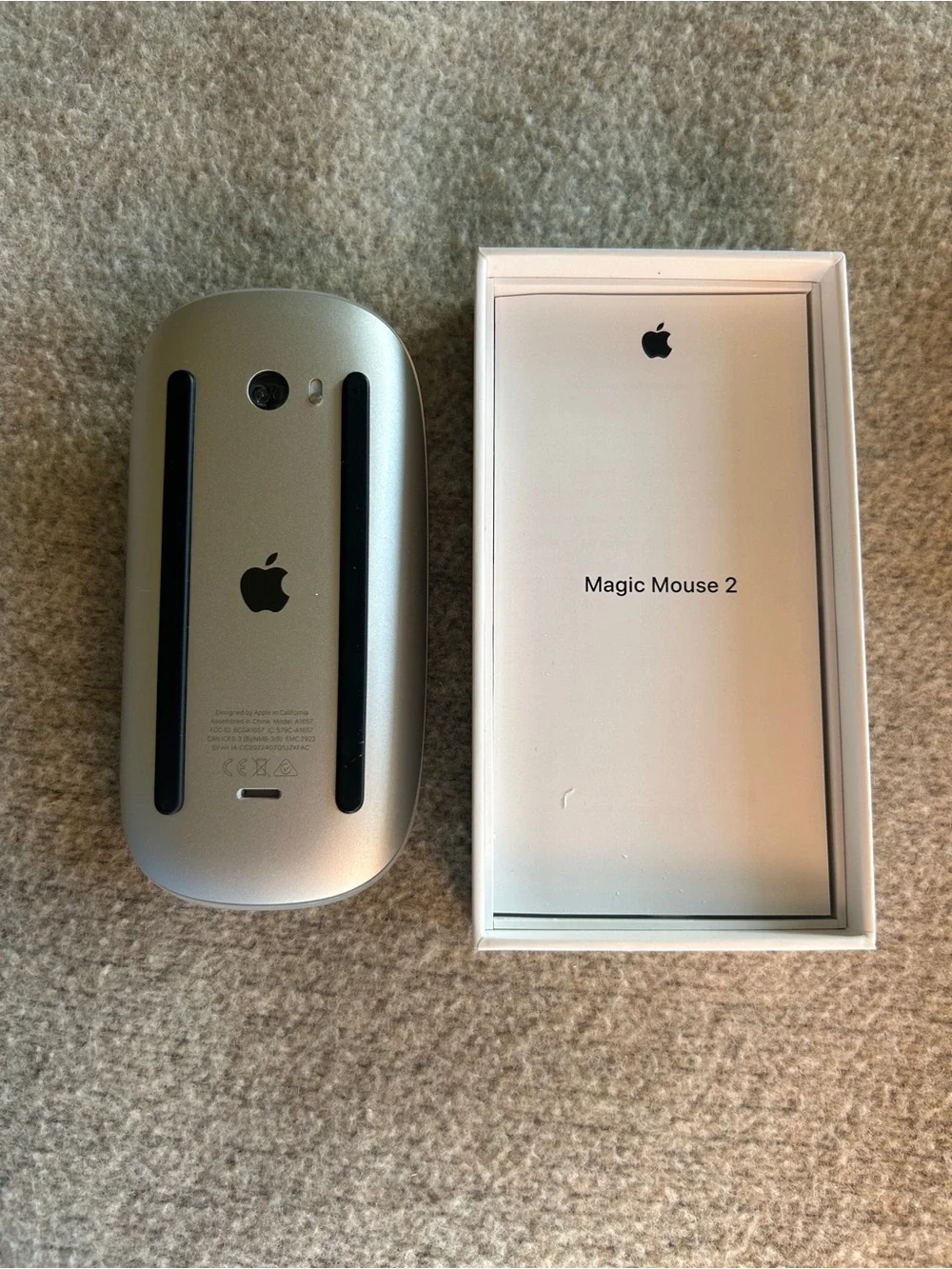 Apple magic mouse
